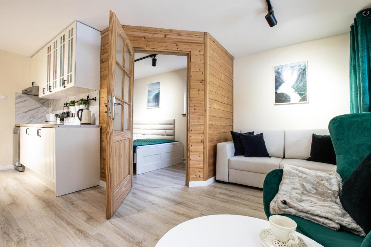 زاكوباني Apartament Z Sauna المظهر الخارجي الصورة