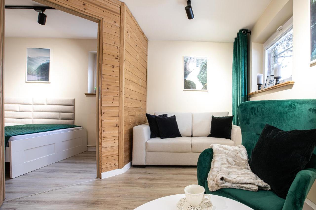 زاكوباني Apartament Z Sauna المظهر الخارجي الصورة